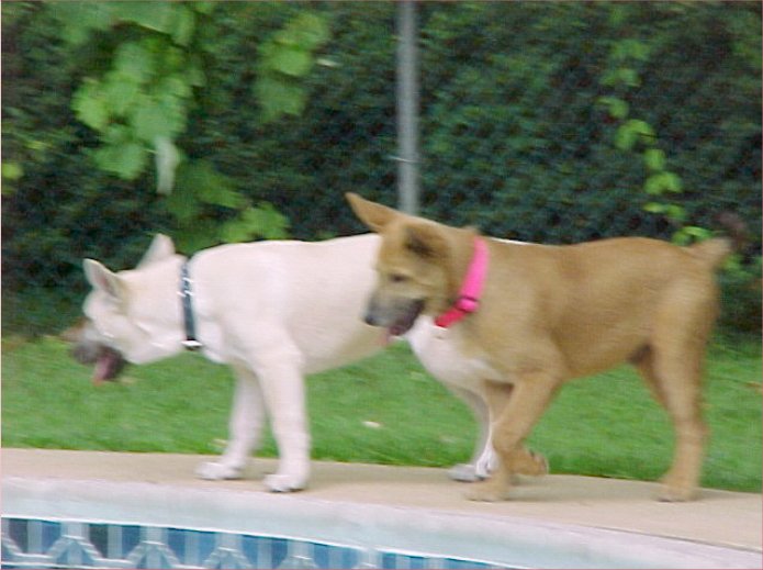 TuckerDakota4mos_4