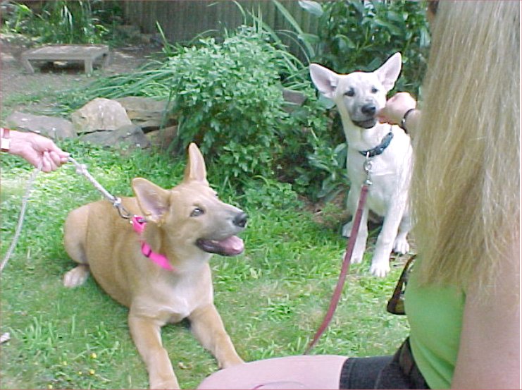 TuckerDakota4mos_5