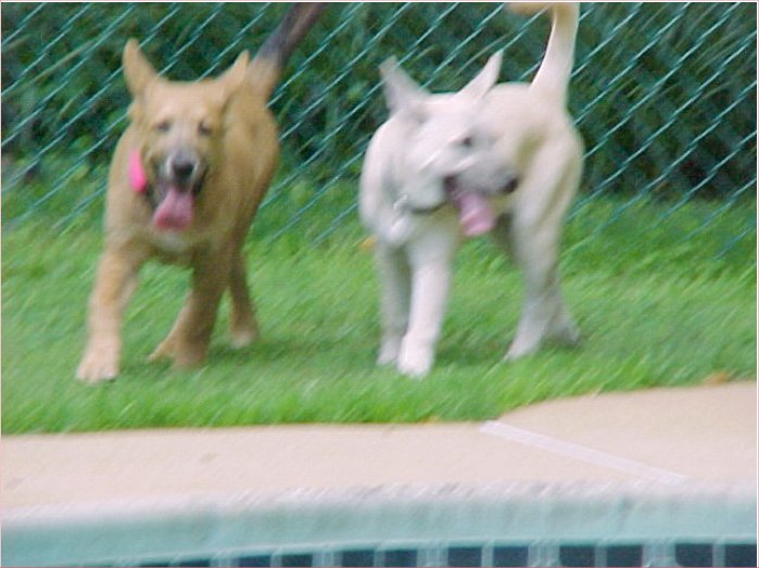 TuckerDakota4mos_3